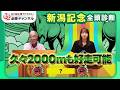 【新潟記念2026全頭診断】NHKマイルC覇者ロデオドライブの評価は? 「今回は狙い目」の伏兵が浮上/【中京2歳S】の注目馬も紹介