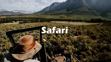 Safari - Adventure African Background Music (Travel Background Music)