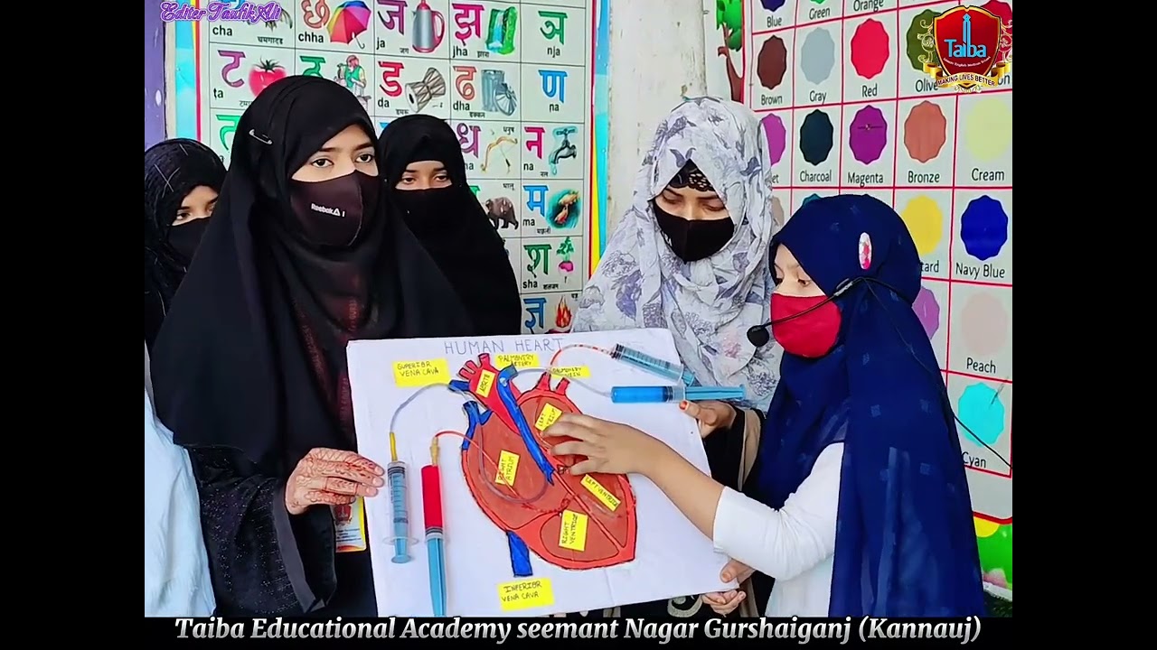 Human heart working model explanation in English. How does the Human heart work? 