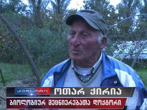 უცხოელი პრაქტიკანტები ფოთის ბიომეურნეობაში 28 10 16