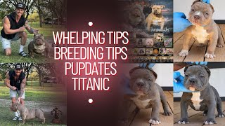 Pupdate, Tips, and Titanic 