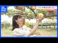 ことしの梨は猛暑で甘い！？【SUNトピ】｜TBS NEWS DIG