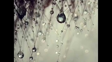 Jarkko Hietanen - It Would Have Been Beautiful