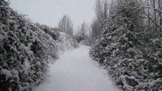 Nieve en Valdelaguna