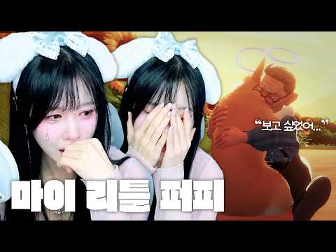 사람이 죽으면 먼저 간 반려동물이 마중을 나온다는 이야기가 있다 [<strong>마이</strong> 리틀 퍼피]