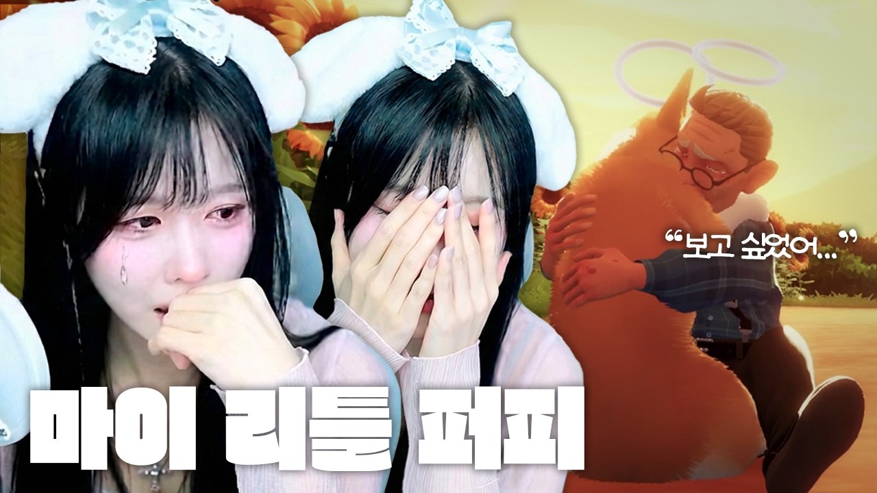 사람이 죽으면 먼저 간 반려동물이 마중을 나온다는 이야기가 있다 [마이 리틀 퍼피]