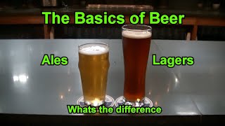 Beer 101 - The Basics of Beer - What's the difference between Lagers and Ales  -  Lager vs Ale by MrFredenza 25,014 views 2 years ago 4 minutes, 6 seconds