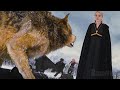 Vampires  werewolves confronts the volturi full fight  the twilight saga breaking dawn  part 2