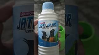 Kegunaan dan Cara Pemakaian Shampo Burung Jatijajar #mandi #penghilangkutu #rayucanary