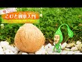 帰ってきたこびと観察入門　トコシエノシアワセ編