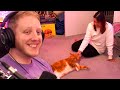 Philza Stream Gets Interrupted by Stray Cat!