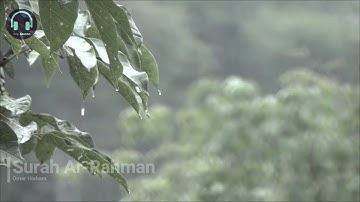 Relaxing reading Quran to the sound of rain  Surah 55 ArRahman  Omar Hisham Heart Touching