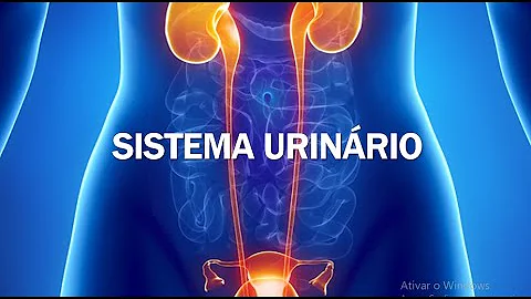 Qual a principal função do ureter?
