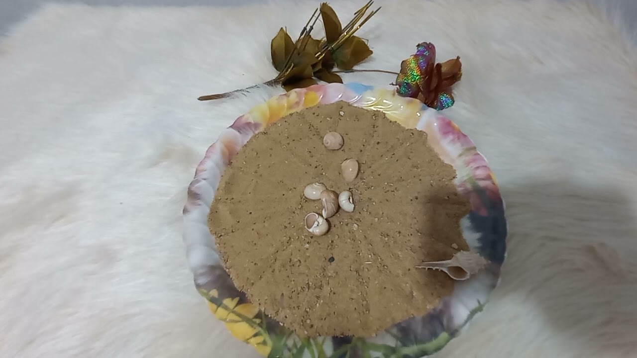 القراءة بالرمال والودع لبرج الجوزاء 🌬🌬💚💚