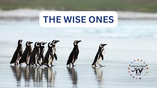 THE WISE ONES WELCOMES DAVID A. BOWLES