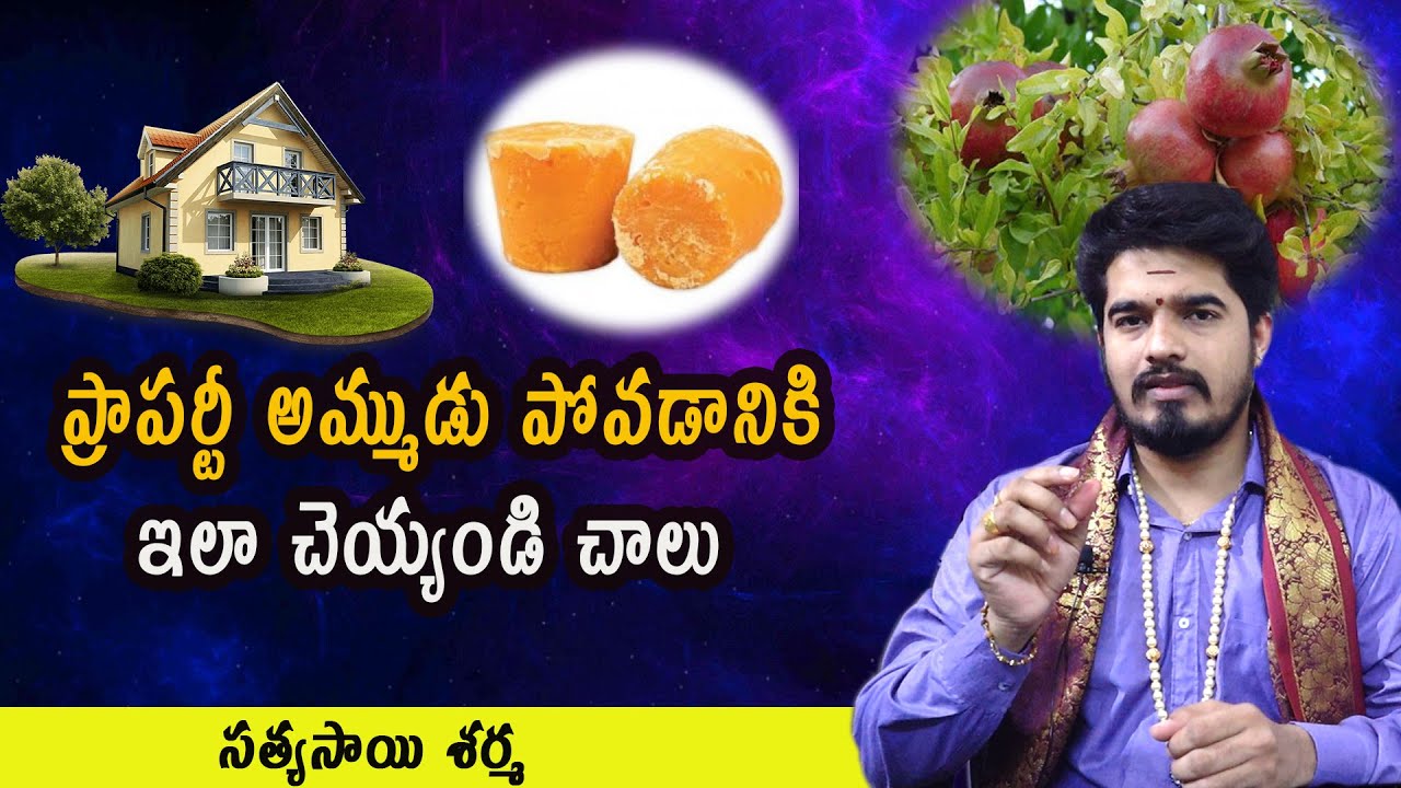 ఇల్లు లేదా భూమి అమ్ముడు పోవాలంటే | Remedies For Property Sale | Sathyasai Sharma