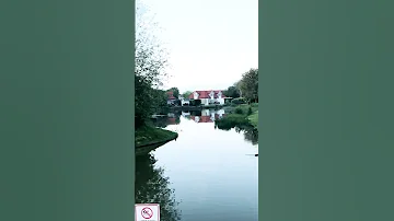 Ferienhaus Park Kamperland #nederlands #zeeland #travel #shorts