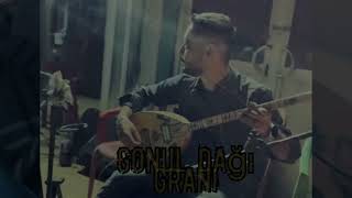Ali Rıza Alince Ah Yalan Dünya , Gönül Dağı Grani