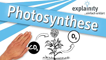 Was ist die Fotosynthese einfach erklärt?