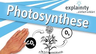 Photosynthese einfach erklärt (explainity® Erklärvideo) - YouTube