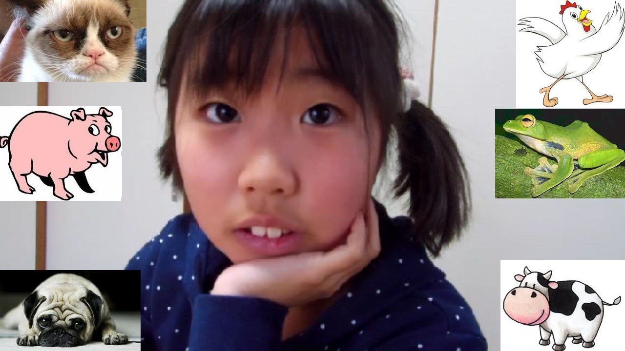 Animals Speak Japanese in Japan!! - YouTube