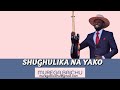 SHUGHULIKA NA YAKO