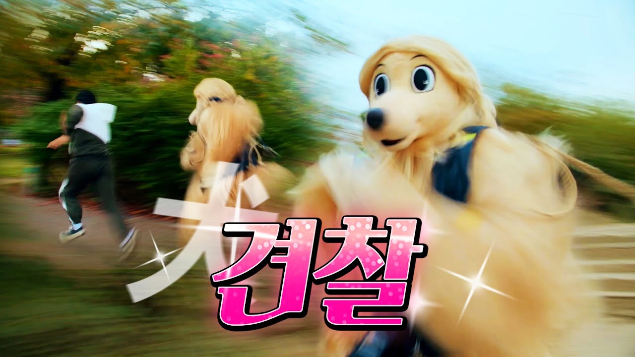 반려견 순찰대로 명 받았습니다! 충성콩🫡 #반려견 #순찰대