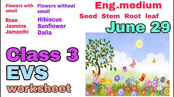 Victers Class 3 EVS worksheet June 29 English medium