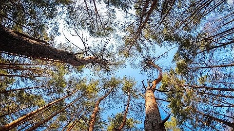 Webinar 12 - A Critical Discussion on the Diverse Discourses of Circular Economy and Society