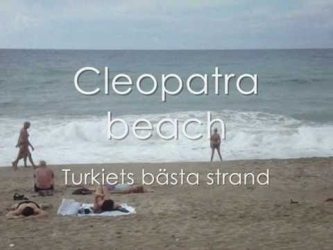 Video: En Tvåhövd Delfin Hittades På En Strand I Turkiet - Alternativ Vy