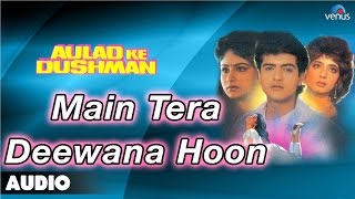 Aulad Ke Dushman : Main Tera Deewana Hoon Full Audio Song | Ayesha Jhulka, Arman Kohli |