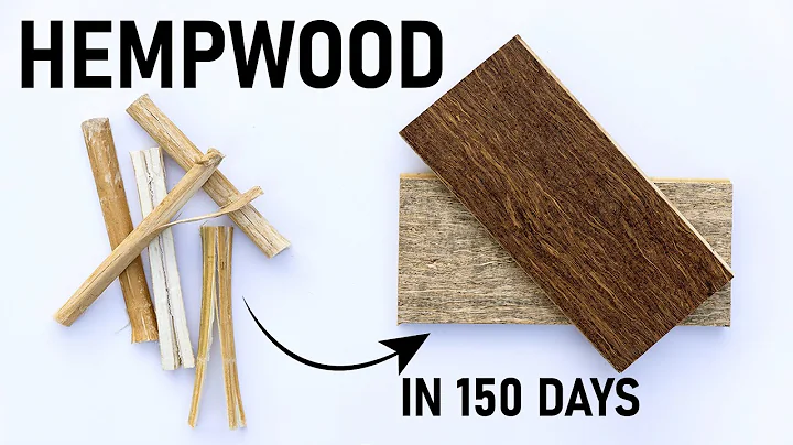 What is eco-friendly hardwood? (2023)