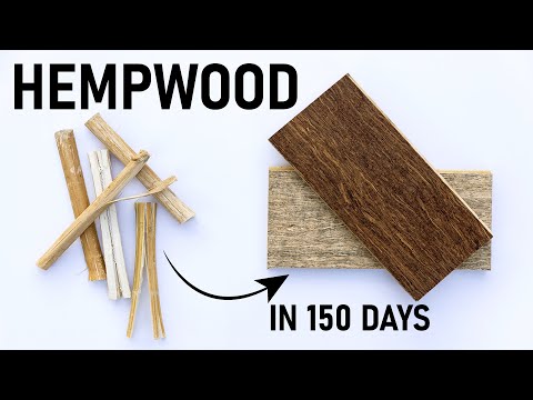 HempWood | a NEW eco-friendly hardwood