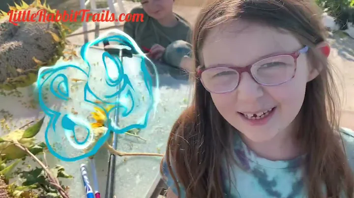 Fibonacci Numbers math in nature homeschool hands-on learning