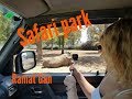 Путешествие по сафари-парку / Safari Ramat Gan