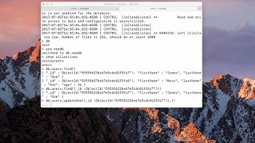 Updating Documents in MongoDb