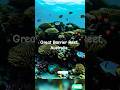 Great Barrier Reef, Australia, USE EAR PHONE,amazing places in the world, beautiful places