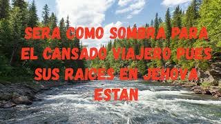 Video thumbnail of "FERNEL MONROY: ÁRBOLES JUNTO AL RÍO (BIENAVENTURADO)"