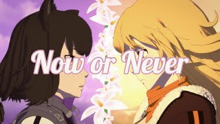 Now or Never - A RWBY AMV