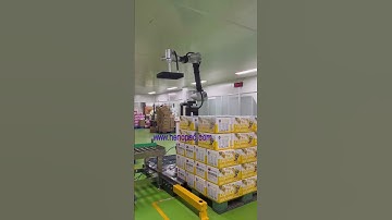 collarative palletizing robot system paletizador robótico colaborativo Robotic Palletizing System