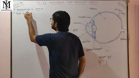 Std-10||Science||Lec.1||Ch-11 માનવઆંખ અને રંગબેરંગી દુનિયા||By- Deep sir