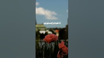 اكتب شيء تؤجر عليه ❤️ #القرآن_الكريم #تلاوة_خاشعة
