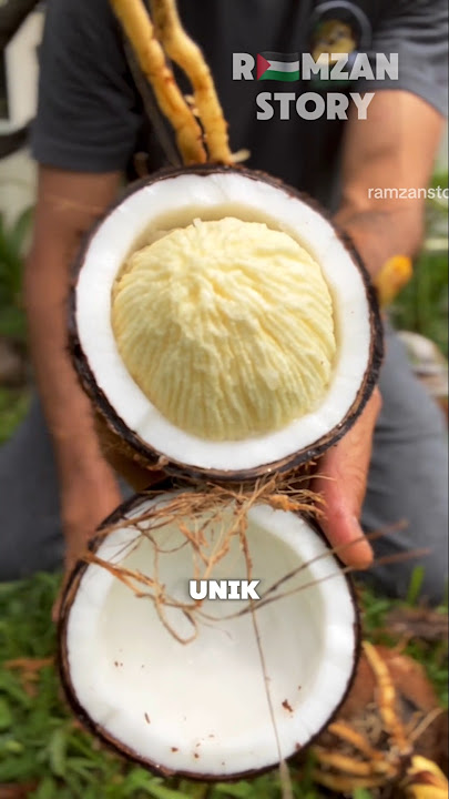 Sprouted Coconut: Sweet and Nutritious