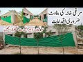 A beautiful chicken house  ideal poultry farm designs  dr arshad