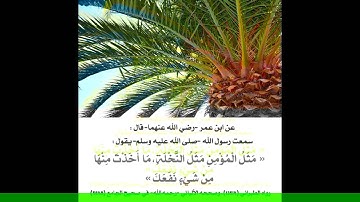 مؤسسة قراء إجدابيا تقدم لكم القارئ الشيخ بوحليقة بن عمر الزوي سورة السجدة