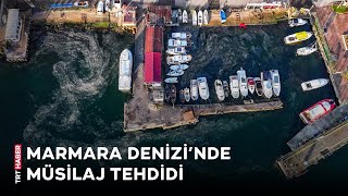 Marmara Denizi'nde müsilaj yeniden görüldü screenshot 5