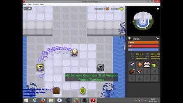 Rotmg - How to get private server