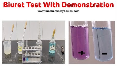 Biuret Test With Demonstration In 5 Minutes || Biuret Test Biochemistry