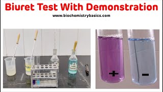 Biuret Test With Demonstration In 5 Minutes || Biuret Test Biochemistry