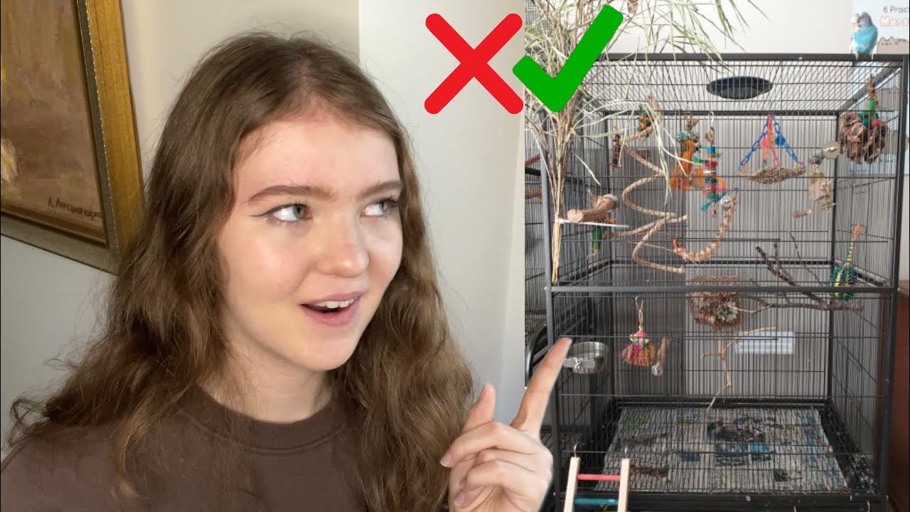 Reacting to My Subscribers’ Bird Cages Part 5 YouTube